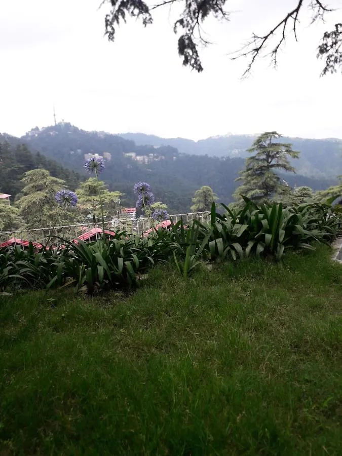 Hotel Lords Regency Shimla