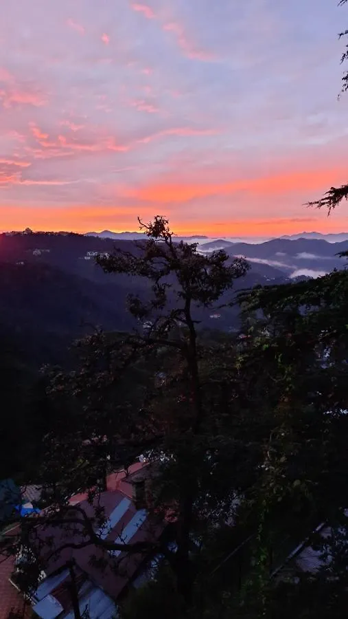 ***  Hotel Lords Regency Shimla India