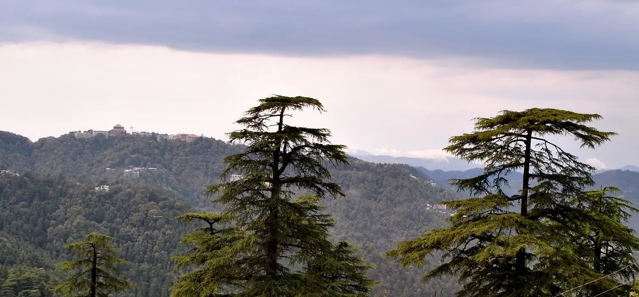 Hotel Lords Regency Shimla 3*,